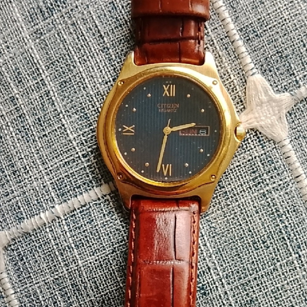 Citizen Gold and Brown Leather Watch